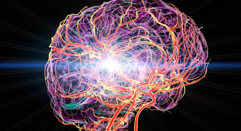 Új kezelés segítheti helyreállítani a stroke után károsodott agyszövetet