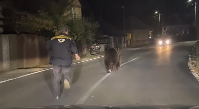 Egyesek a medve elől futnak, Ratosnyán egy férfi utána szaladt (VIDEÓ)