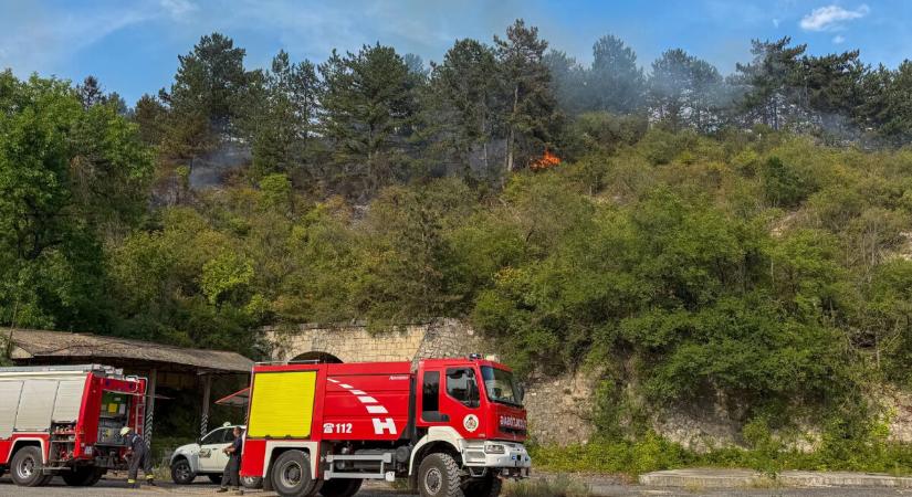 Nagy területen ég a gaz és az avar Törökbálintnál