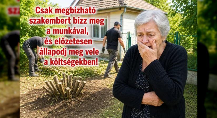 Füge- és szederbokor kivágás 2 millióért