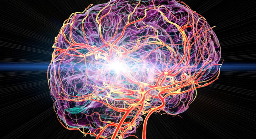 Új kezelés segíthet helyreállítani a stroke után károsodott agyat