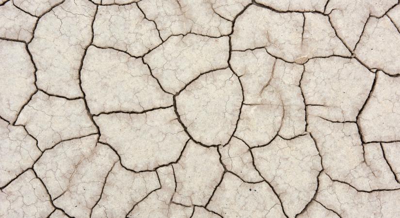 Akkora a vízhiány, hogy már a Börzsöny fontos vízfolyása is kiszáradt
