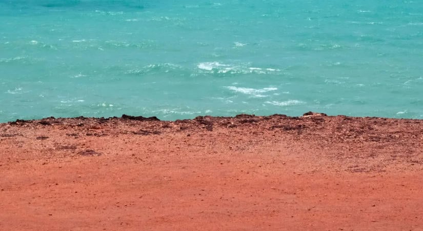 Egy partra sodródott csont oldotta meg a 26 éves rejtélyt