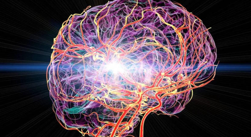 Új kezelés segíthet helyreállítani a stroke után károsodott agyat