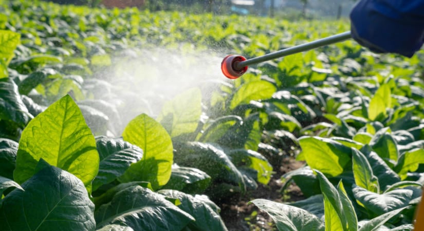 Nagy bejelentést tett az Agrárkamara: ez vár a magyar gazdákra mostantól