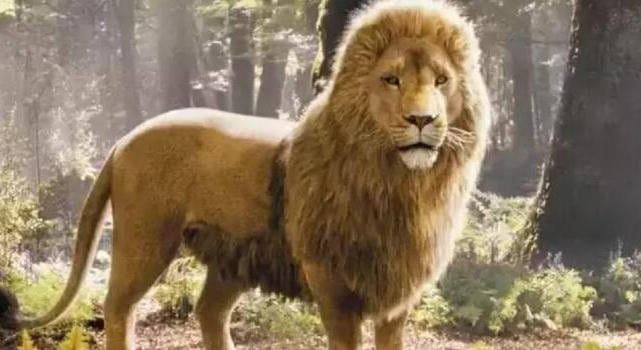 Tényleg Meryl Streep lesz Aslan a netflixes Narnia-filmben