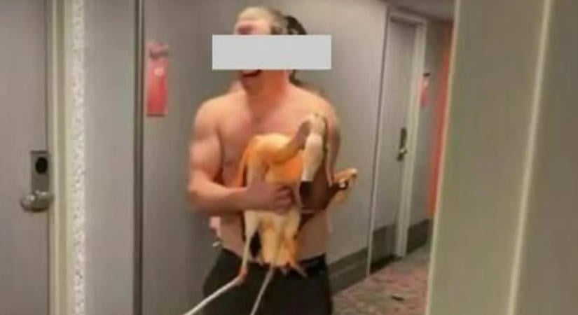 Részeg turista lépett meg a hotel flamingójával - negyven sört okolt a bűntényért
