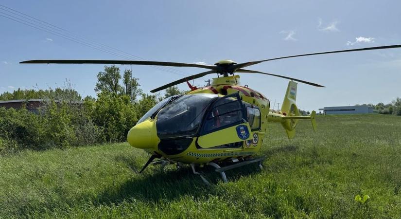 Borzasztó: kiderült, ki halt meg Noszvajnál az erdőben, kétgyerekes édesapa az áldozat – videókkal