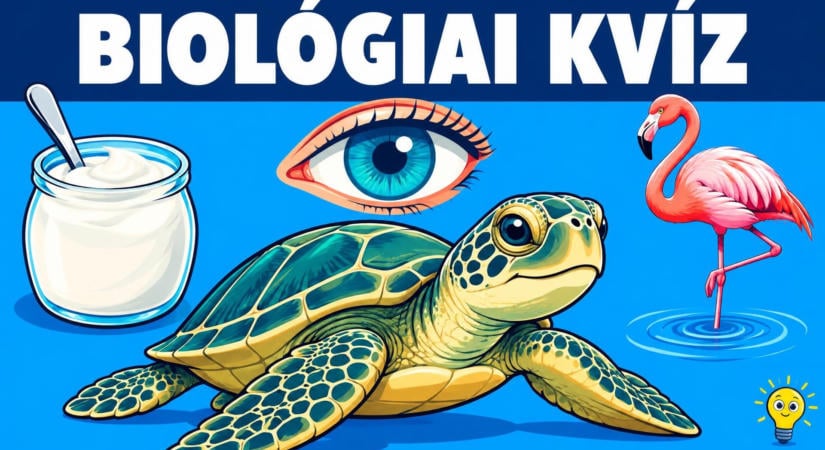 Fogd munkára a természetismereted: hat pontért indul a biológiai kvíz!