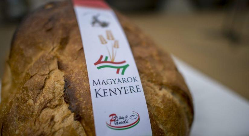Magyarok Kenyere Program Heves városában – Sok millió búzaszem, egy nemzet