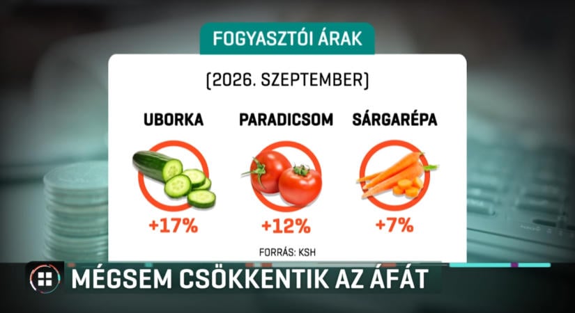 Mégsem csökkenti a kormány a zöldségek és gyümölcsök áfáját