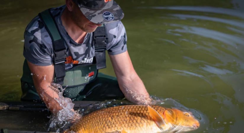 Catch and release ősszel: hogyan kíméld a halat a szeptemberi horgászatokon?