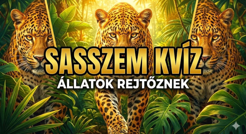 Kvíz: Mutasd meg, hogy sasszemed van! Kiszúrod a rejtőzködő állatokat?