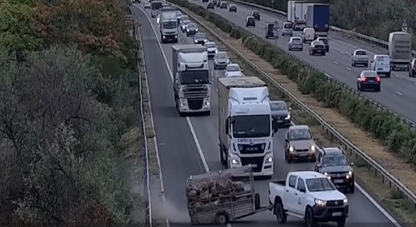 Keresztbe fordult az állatokkal teli utánfutó, aztán jött a baj, mint a filmeken