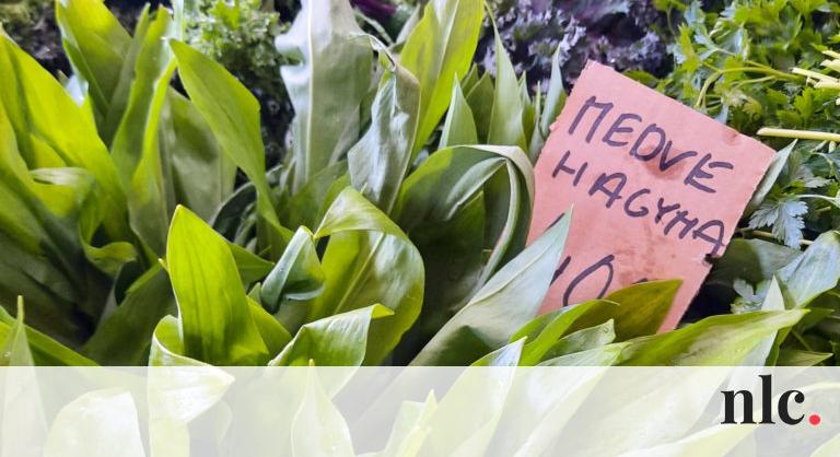 Buda híresen drága piacán 2019-es árakon is vehetünk medvehagymát