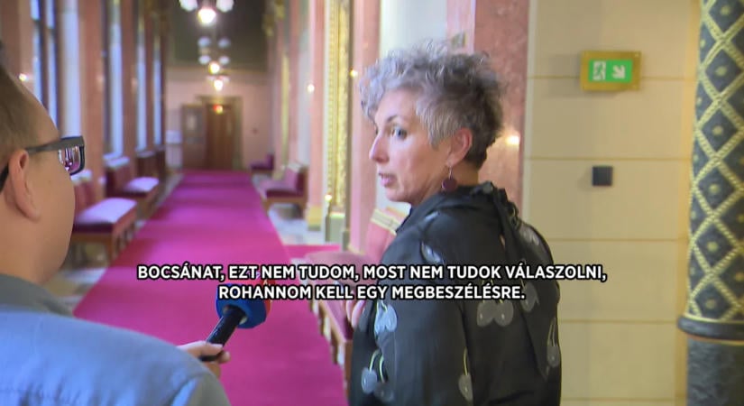 Bódis Krisztina nem árulta el, tudott-e a gyermek gyámja a 2024-es interjúról