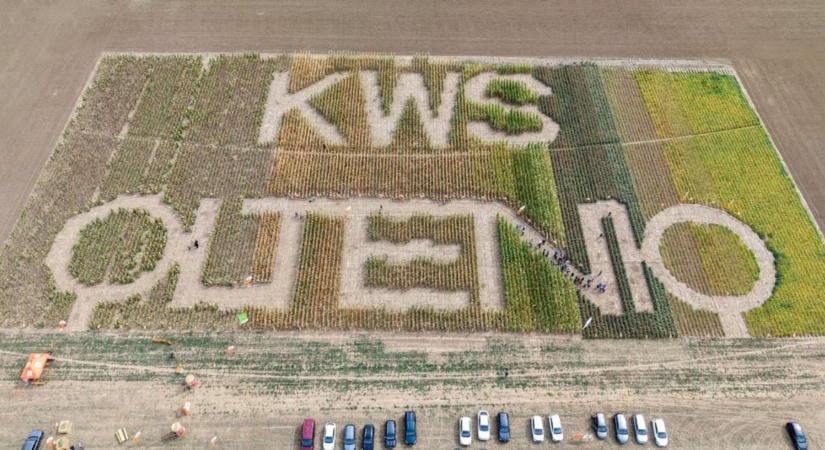 Nem elég egy jó hibrid – így készül a KWS a kiszámíthatatlan évjáratokra  VIDEÓ