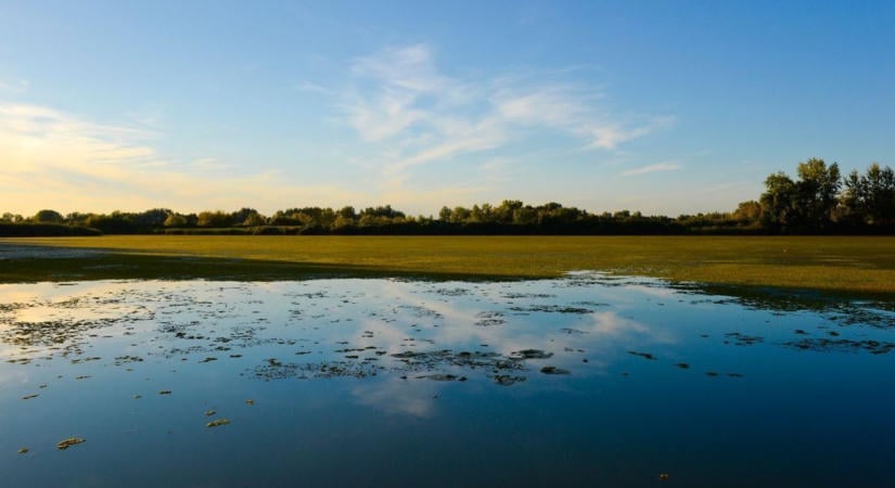 Még a kráterek is látszanak: ilyen volt az aratóhold a Tisza-tónál