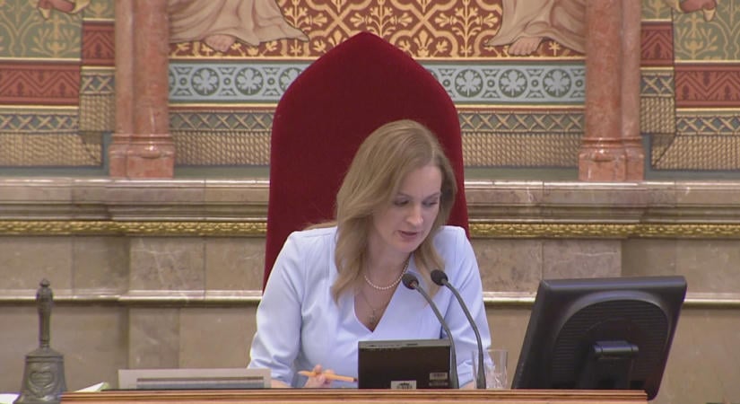 Forsthoffer Ágnes nem tüntette fel a tulajdonrészt, a szakértő szerint hibázott