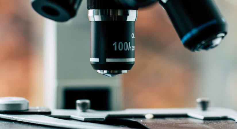 MIT kutatók szerint az AI-ügynökök „játszva” tanulnak a virtuális szigeten