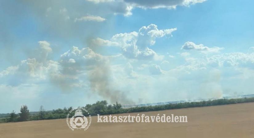 Elkezdődött az aratási szezon, máris több szántóföldi tűzhöz riasztották a tűzoltókat