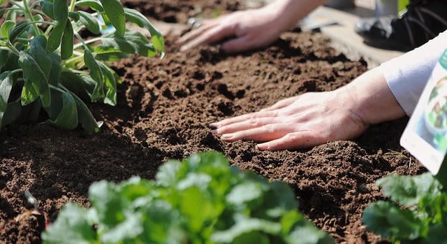 A Közös Agrárpolitika megőrzését szorgalmazzák európai agrárszervezetek