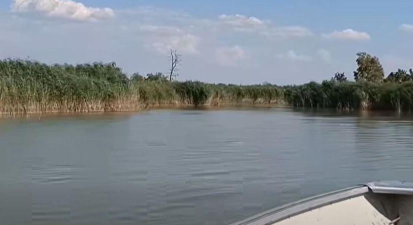 A csapadékhiány mindenhol, még a Fertő nádasain is fájóan látszik - videó