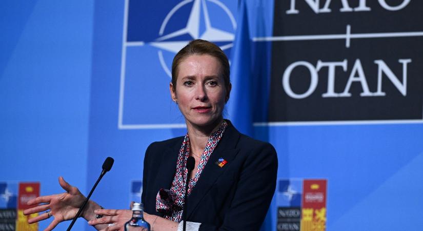 Észt miniszterelnök: Hideg fejjel kell gondolkodnunk
