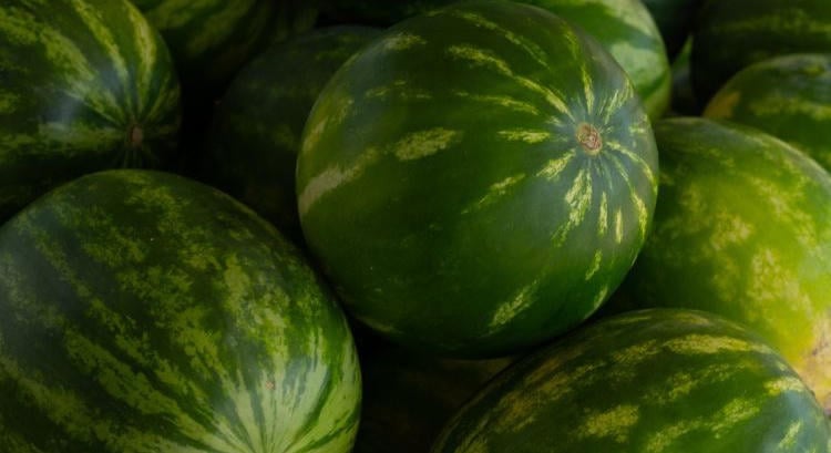 Nagyot ment külföldön a magyar görögdinnye