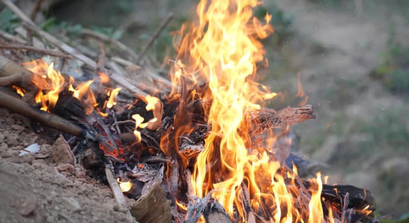 Kétszáz négyzetméteren kapott lángra a zöldhulladék egy szegedi fóliasátorban