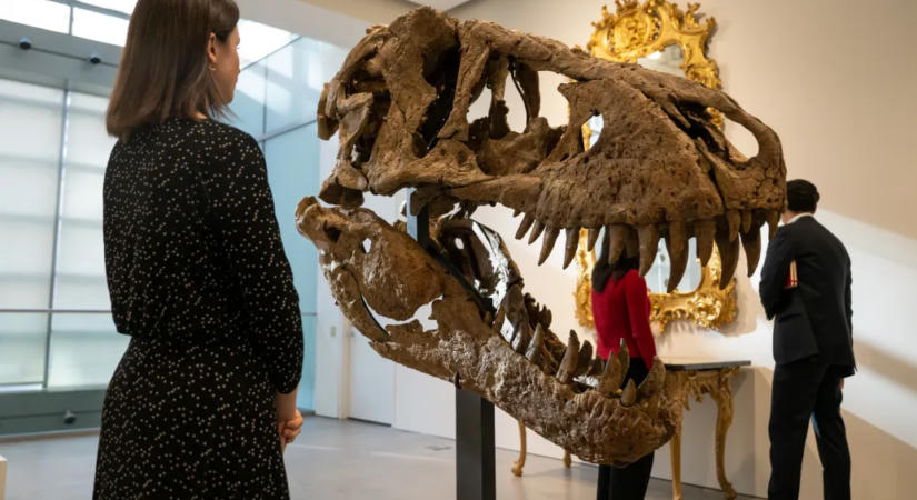 A dínócsontváz lett az ultragazdagok új státuszszimbóluma, a piac viszont maga a káosz