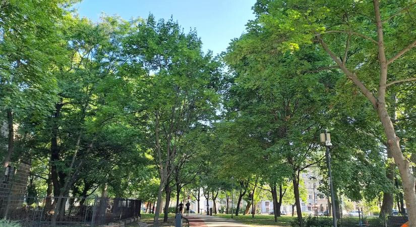 Korszerű sportpályával folytatódik a Haller Park megújítása