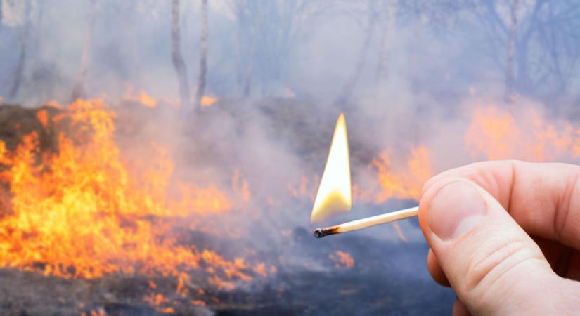 Benzinnel locsolta le és meggyújtotta a 400 éves Basafát egy férfi Nagykőrösön  fotók