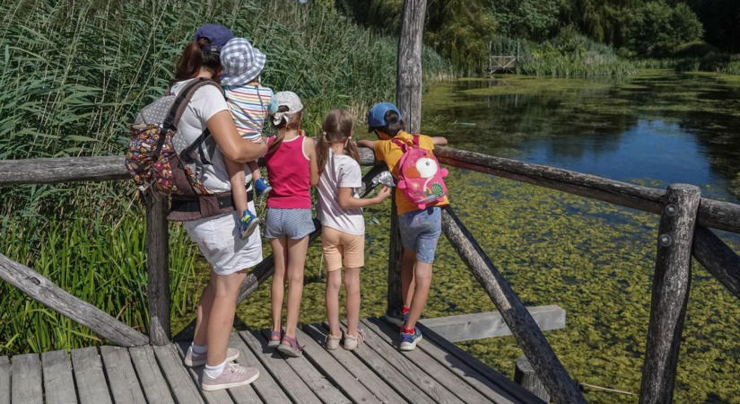 Nem a gondozatlanság jele: új szemlélet formálja Veszprém zöldfelületeit (galéria)