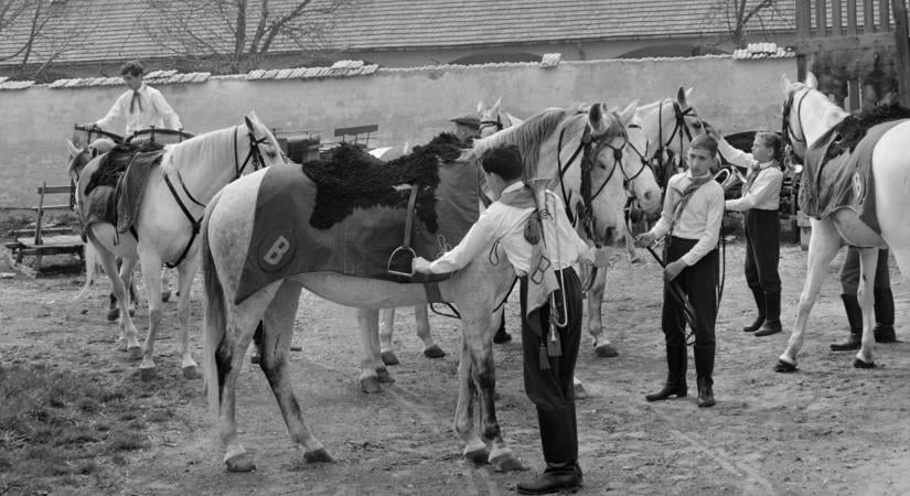 És akkor 176. – Mazsola