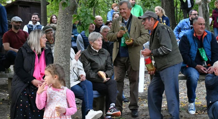 Ingyenes kóstolás és busz, színes programok szombaton az adonyi újbor ünnepen