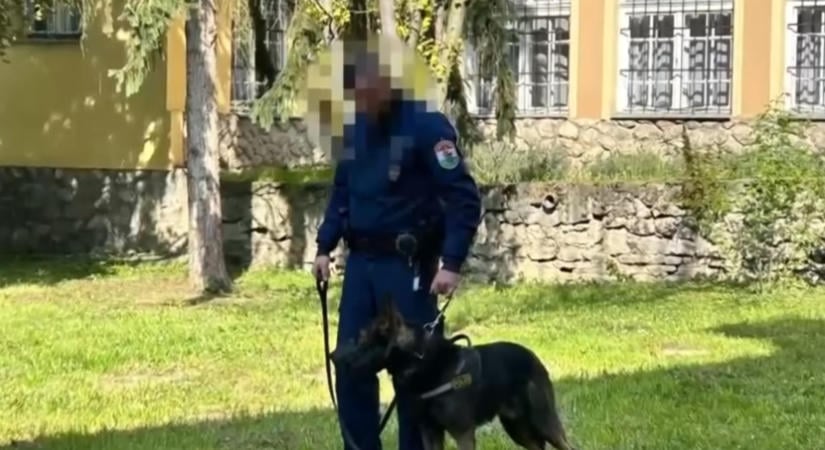 Elgázolták az igazoltatni akaró rendőrt: most járni tanul, semmire nem emlékszik – videó
