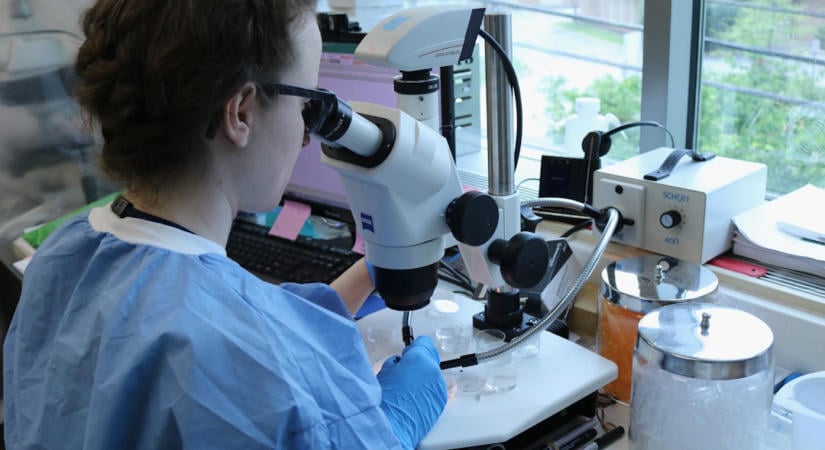 Titkolóznak a világmodell-cégek, miközben tőkét gyűjtenek