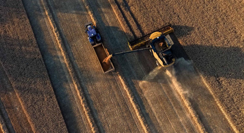 Feje tetejére állítja a gabonapiacot a fekete-tengeri háború – hároméves csúcsra ugrott a búza ára