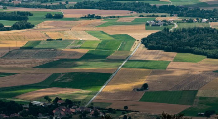 Termőföld haszonbérleti díjának megállapítása