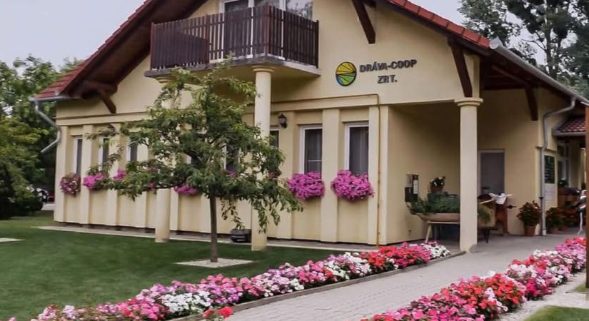 Az ország legszebbjei közé jutott a barcsi gazdaság
