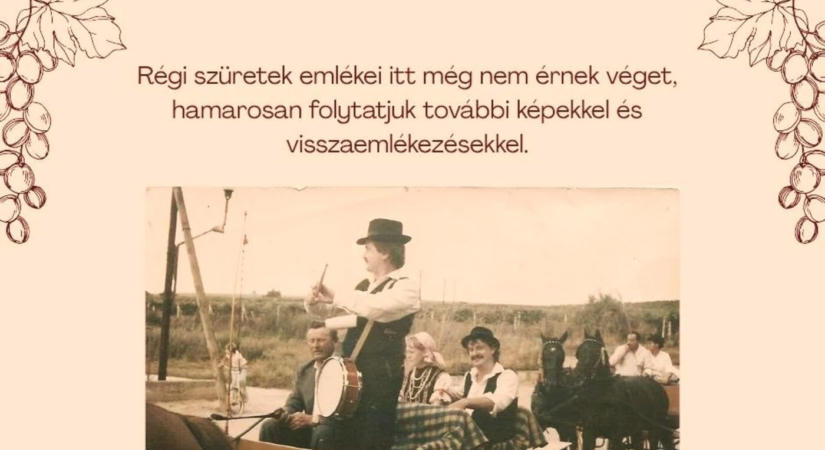 Újraélesztik Kürtön a szüreti felvonulás és a madárijesztő-árverés hagyományát