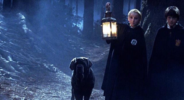 A jubileumi Harry Potter-vetítés közben született meg egy kislány