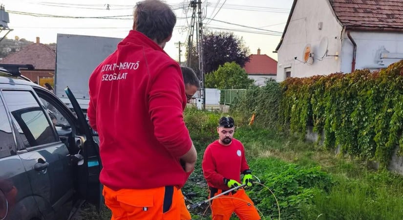 Szívszorító, ami odalent történt: négy életet mentettek meg egy csatornából