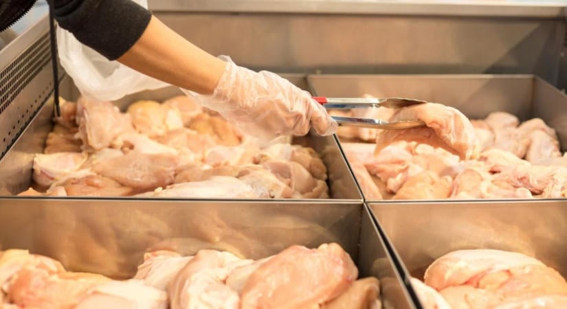 Egyre több baromfihús kell Európa egyik legnagyobb piacának: ki tudja kiszolgálni?