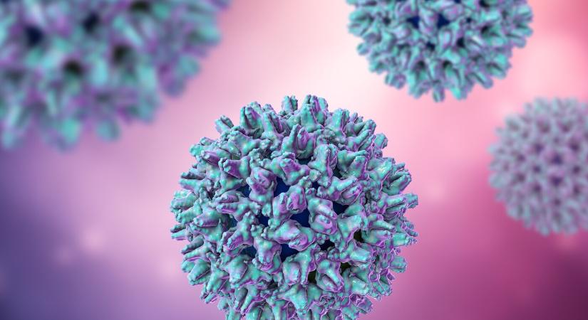 Vírusos hepatitis A-fertőzöttet találtak a Dunaszerdahelyi járásban