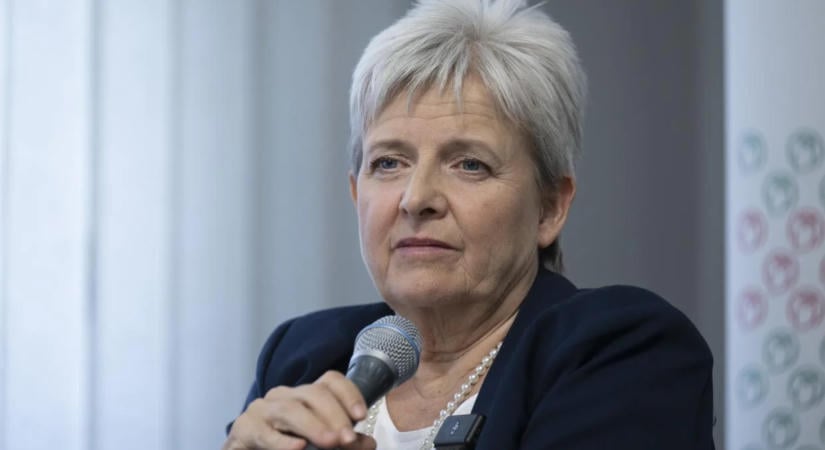 Lannert Judit: A közösségi média a középosztály gyermekeire is káros hatással van