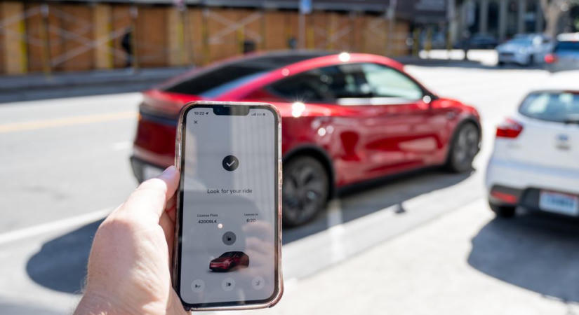Aggódik a cicákért Elon Musk, ezért még nem éjszakázhatnak a Tesla önvezető taxijai