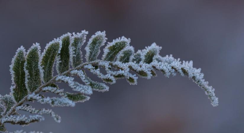 Csaknem mínusz 4 Celsius-fok volt szombat hajnalban a Bükk egyik pontján