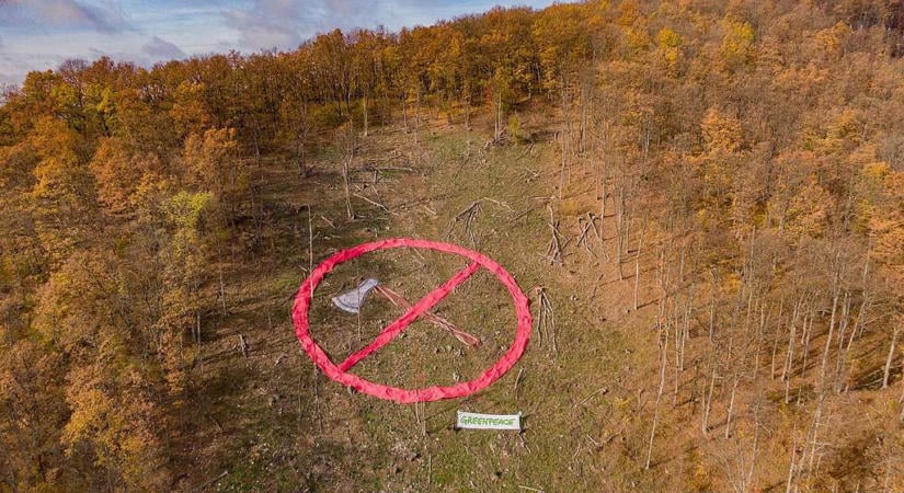 A Bükki Nemzeti Park továbbra is az erdőgazdálkodókkal kötött kompromisszumokban bízik, nem hosszabítja meg a fakivágási moratóriumot